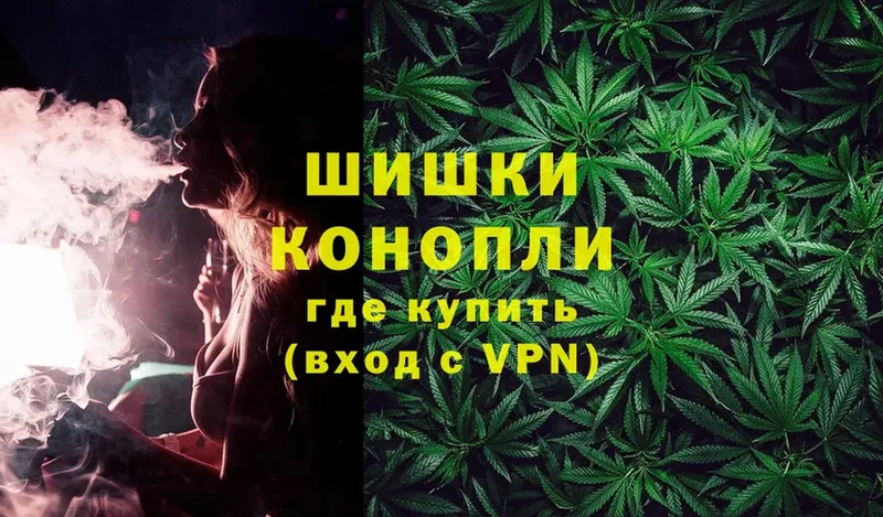 магазин продажи   Волосово  Конопля OG Kush 